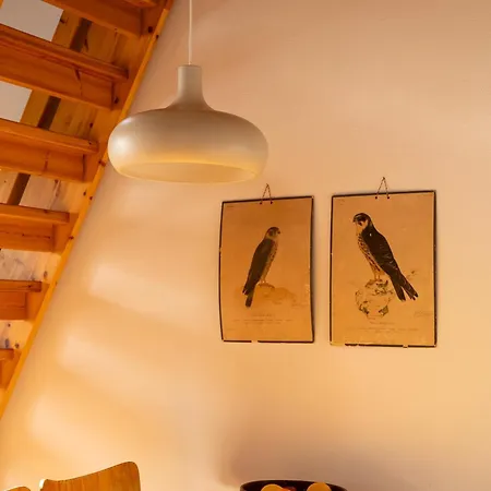 Ruka Lumikoengaes Apartment *